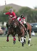 el polo (o polo)
