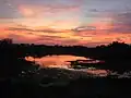 Pôr do sol no pantanal