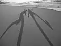 jugar con las sombras,