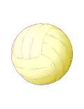 volei