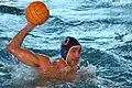 el waterpolo (o polo aquático)