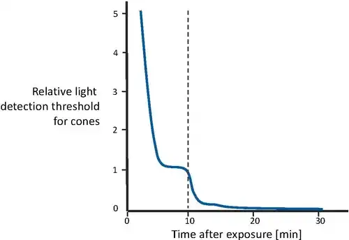 Dark adaptation. During the first 10 minutes (i.e. to the left of the dotted line), sensitivity recovery is done by the cones. After the first 10 minutes (i.e. to the right of the dotted line), rods outperform the cones. Full sensitivity is recovered after approximately 30 minutes.