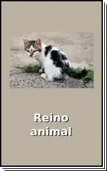 Clique para começar a ler este wikijúnior