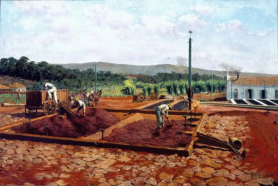 O Lavadouro