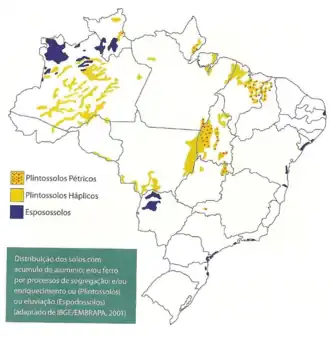 Área ocorrência Plintossolos e Espodossolos (Lepsch, 2010)