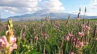 Supecane visto de Patnos