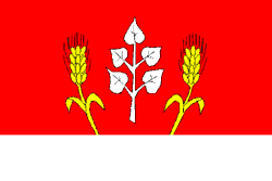 Bandeira de Čavisov