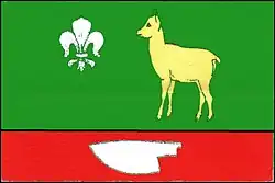 Bandeira de Řikonín