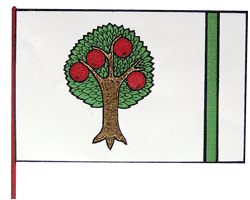 Bandeira de Šenov u Nového Jičína