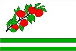Bandeira de Žďárná