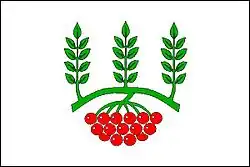 Bandeira de Žeraviny