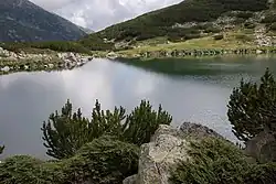 imagem ilustrativa de artigo Campeonato Mundial de Remo de 2012