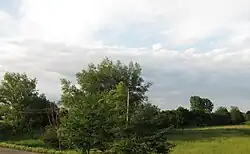 A Reserva de Novoselitsky.