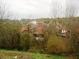 Vue générale de Rujište