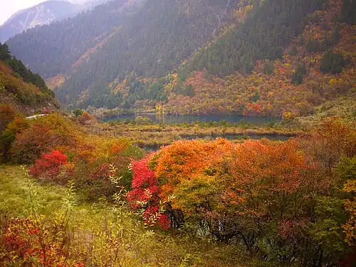 Lagos Shuzheng, formados pela passagem de glaciares e represados naturalmente