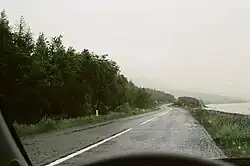 A floresta Hallormsstadurskógur