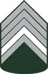2° Sargento do Exército Brasileiro