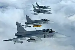 Dois caças Saab Gripen e dois L-159 tchecos.