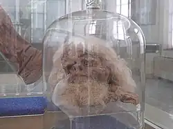 Homem de Sal, conservado no Museu Antigo.