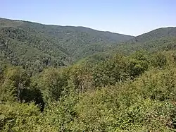 Horizonte de Condado de Požega-Eslavônia