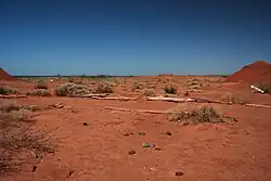 A desert area in the Argentine Monte