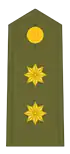 Tenente Coronel