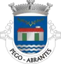 Brasão de armas de Pego
