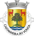 Brasão de armas de Castanheira do Vouga