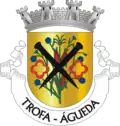 Brasão de armas de Trofa