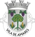 Brasão de Amares