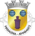 Brasão de armas de Madalena