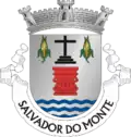Brasão de armas de Salvador do Monte