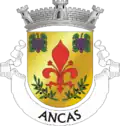 Brasão de armas de Ancas
