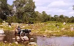 File:A Seca no Sertão Nordestino.jpg