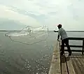 Pescando de tarrafa.