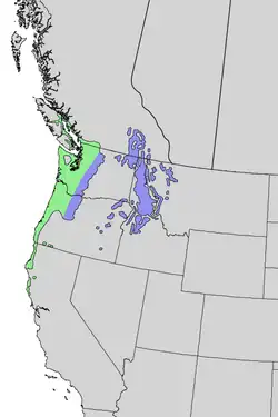 Distribuição natural de Abies grandis. Em verde - A. grandis ssp. grandis, em azul - A. grandis ssp. idahoensis.