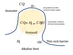Protocélulas em contato com uma fina barreira rochosa em uma fonte hidrotermal recebem um suprimento gratuito de energia do gradiente de pH.[2]