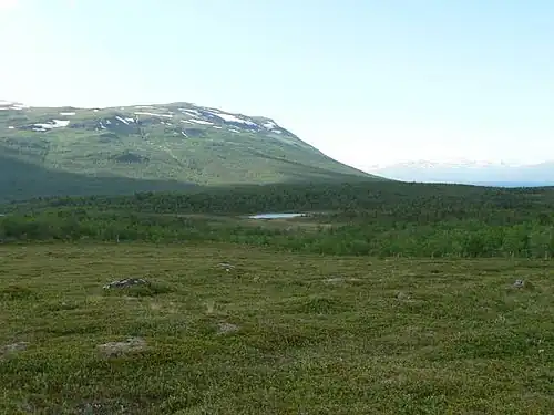 Parque Nacional de Abisko