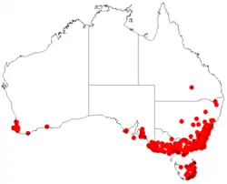 Distribuição de Dados de ocorrência da acácia-negra no AVH