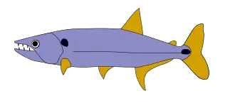 Acestrorhynchus lacustris