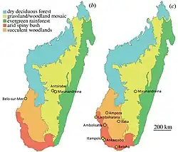 Mapa de Madagáscar mostrando onde os espécimes de A. hildebrandti (b) e A. maximus (c) foram encontrados