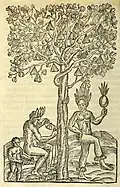 Gravura de 1557 do escritor francês André Thevet retratando o uso dos frutos de Thevetia ahouai pelos índios tamoios como chocalhos amarrados nos tornozelos. O nome científico da planta é uma homenagem a Thevet.
