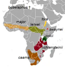 Distribuição territorial das subespécies de Alcelaphus buselaphus