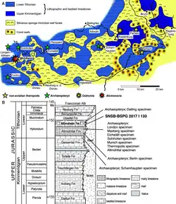 Estratigrafia dos calcários de Solnhofen