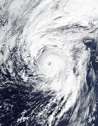 imagem ilustrativa de artigo Furacão Alex (2016)