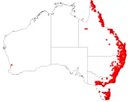 Dados de ocorrência do Herbário Virtual da Australásia