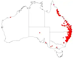 Dados de ocorrência do Herbário Virtual da Australásia
