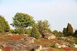 Na reserva natural de Almö