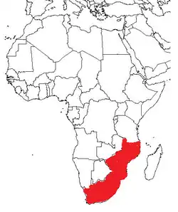 Distribuição da Aloe arborescens, mapa da Africa mostrando realçado Africa do Sul, Malawi, Moçambique e Zimbabe.