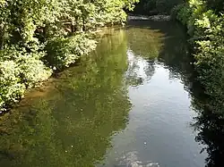 Amarante Canadelo Rio Olo